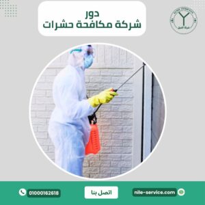 شركة مكافحة حشرات في العاشر من رمضان